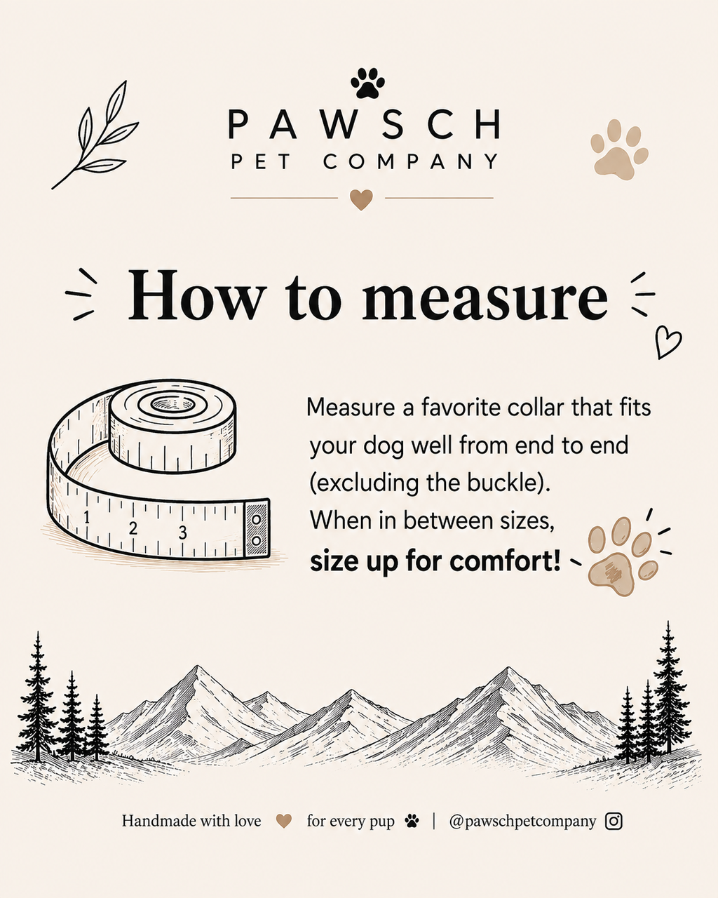 Pawsch Pet Company guide showing how to measure a well-fitting dog collar from end to end, excluding the buckle, and size up when between sizes