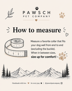 Pawsch Pet Company guide showing how to measure a well-fitting dog collar from end to end, excluding the buckle, and size up when between sizes