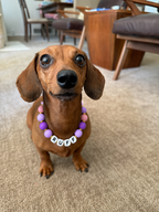 Dog wearing a pink, lavender and purple Pawsch beaded dog necklace personalized with the name RUFF